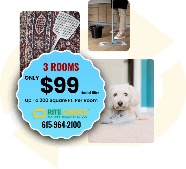 Special Offer Special Offer